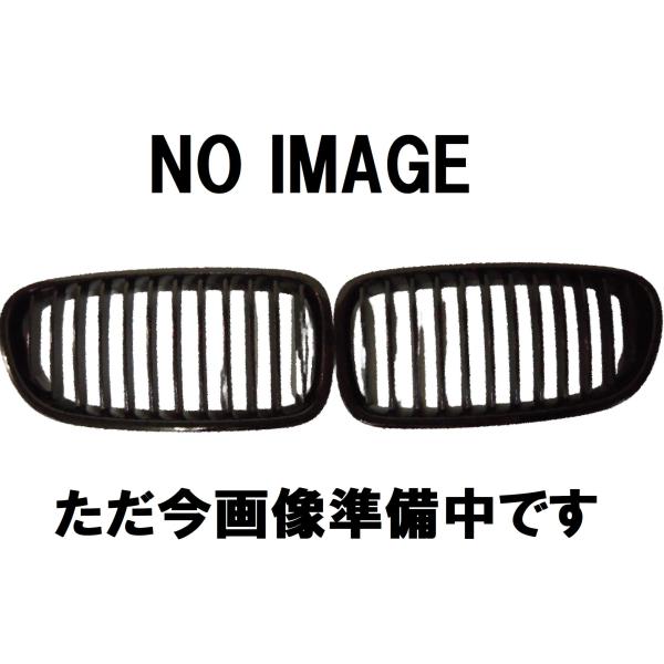 BMW ラジエターグリル 左 シルバー X1 F48 51117383365 純正品