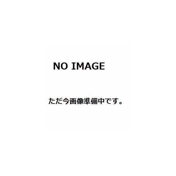 純正 BMW E82 E87 E88 E90 E91 E92 E93 F30 E60 F10 等 タイミングチェーンテンショナー 11318685091