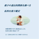 プロップジーン DNA 親子鑑定検査キット 親子判定 口内粘膜