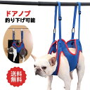 犬 猫 グルーミングハンモック ドアに吊るして使用可能 ドアフック付き 暴れ防止 爪切りトリミング 耳掃除 歯磨き 目薬 服薬 介護