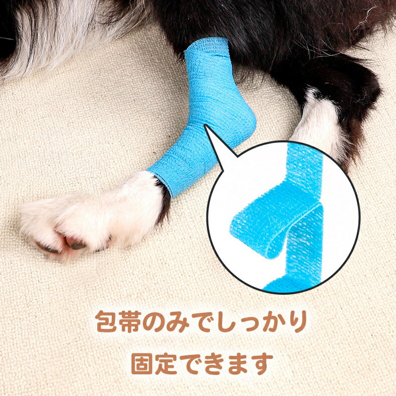 ���� �� ǭ �ڥå��� Ǵ������ 4�ĥ��å� �ơ��ԥ� �Х�ơ��� ���顼������ α��񤤤�ʤ� ����ڤ�� ���ߤ� ���� �ꥹ�ȥХ�� Ϸ�� ������ �淿�� �緿�� ��� �����ݸ� �����ݸ� �Ӥ��ɻ� �������� �̵��� �ϥ��ߤ���ʤ� �Ӥˤ��äĤ��ʤ� ����Ǵ�� ��˶���