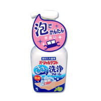 小林製薬 パーシャルデント 洗浄フォーム ミントの香り(250mL) 【正規品】