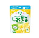 【3個セット】 サラヤ しおまる ひんやりレモンソーダ味(30g)×3個セット【正規品】※軽減税率対象品