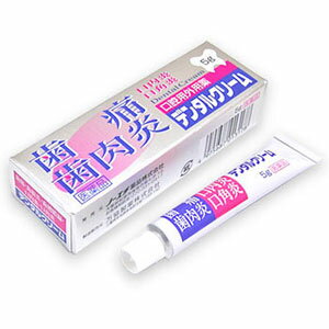 【288個セット】【1ケース分】 【第2類医薬品】 ノーエチ薬品 デンタルクリーム 5g ×288個セット　1ケース分 【正規品】【mor】 【ご注文後発送までに2週間前後頂戴する場合がございます】