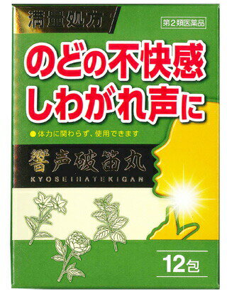 【第2類医薬品】【20個セット】響声破笛丸　12包×20個セット 【正規品】きょうせいはてきがん【t-5】