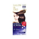 【24個セット】【1ケース分】 サロンドプロ ザ・クリームヘアカラー 5 ブラウン 1セット×24個セット　1ケース分 【正規品】【mor】 【dcs】