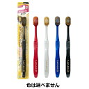 【360個セット】【1ケース分】 エビス プレミアムケアハブラシ 6列ラージ ふつう(1本)×360個セット 1ケース分 【正規品】【mor】【ご注文後発送までに2週間前後頂戴する場合がございます】(4)