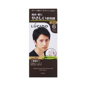 【5個セット】 ルシード ワンプッシュケアカラー 6 ダークブラウン 50g+50g×5個セット 【正規品】