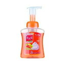 【10個セット】 ミューズ 泡ハンドソープ フルーティフレッシュ 本体 250mL ×10個セット 【正規品】【mor】【ご注文後発送までに2週間以上頂戴する場合がございます】(4)