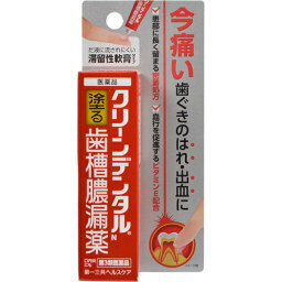 【第3類医薬品】【10個セット】 クリーンデンタルN 歯槽膿漏薬 8g×10個セット 【正規品】