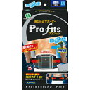 ○【 定形外・送料350円 】 プロフィッツ 薄型圧迫サポーター 腰用 Lサイズ 1枚入 【正規品】 【k】【ご注文後発送までに1週間前後頂戴する場合がございます】