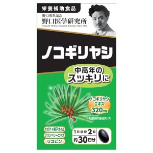 【10個セット】野口医学研究所 ノコギリヤシ 60粒 ×10個セット 【正規品】 ※軽減税率対象品【t-5】