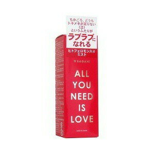 【5個セット】 ALL YOU NEED IS LOVE ヒト