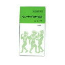 【第(2)類医薬品】【3個セット】センナダイオウ錠 300錠×3個セット 【正規品】