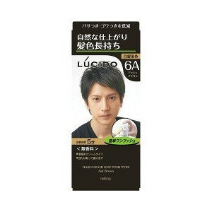 ルシード ワンプッシュケアカラー アッシュブラウン 50g+50g 【正規品】