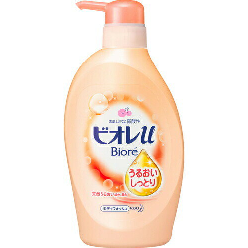 【9個セット】【1ケース分】 ビオレu うるおいしっとり フローラルフルーティの香り ポンプ 480ml ×9個セット 1ケース分 【正規品】【dcs】