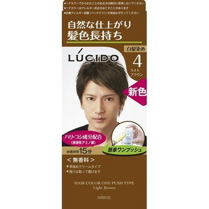 ルシード ワンプッシュケアカラー ライトブラウン 100g 【正規品】