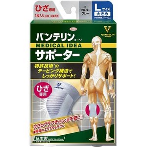 【10個セット】バンテリンコーワ サポーター ひざ専用 大きめ／Lサイズ シルバーグレー 1枚入×10個セット 【正規品】