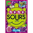 【3個セット】 ノーベル製菓 サワーズ(SOURS) グレープ　45g×3個セット　【正規品】 ※軽減税率対応品