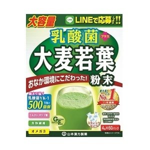 【5個セット】山本漢方 乳酸菌 プラス 大麦若葉 粉末4g×60パック入×5個セット 【正規品】