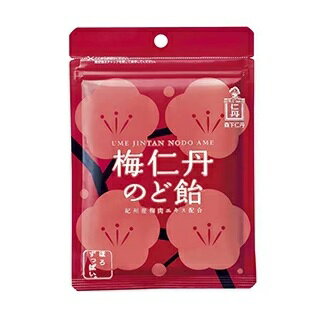 【5個セット】 森下仁丹 梅仁丹 のど飴 60g×5個セット 【正規品】【ori】※軽減税率対象品