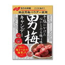 ノーベル　男梅キャンディー　80g 商品説明 『ノーベル　男梅キャンディー　80g』 梅本来の深い味わいとさわやかな酸味とうまみを凝縮した梅キャンディー。 ※企画品のため、急きょ製造終了になる場合が御座います。 【ノーベル　男梅キャンディー　80g　詳細】 原材料など 商品名 ノーベル　男梅キャンディー　80g 内容量 　80g 製造国 日本 販売者 ノーベル 広告文責 株式会社プログレシブクルー072-265-0007 区分 食品【24個セット】【1ケース分】 ノーベル　男梅キャンディー　80g ×24個セット　1ケース分