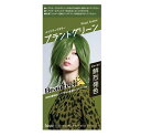 【5個セット】 ホーユー ビューティーン メイクアップカラー プラントグリーン(1セット)×5個セット 【正規品】