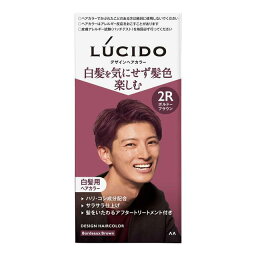 【36個セット】【1ケース分】ルシード　デザインヘアカラー　ボルドーブラウン ×36個セット　1ケース分 【正規品】