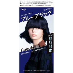 【10個セット】ホーユー ビューティーン メイクアップカラー ブルーブラック 40g＋88ml ×10個セット 【正規品】