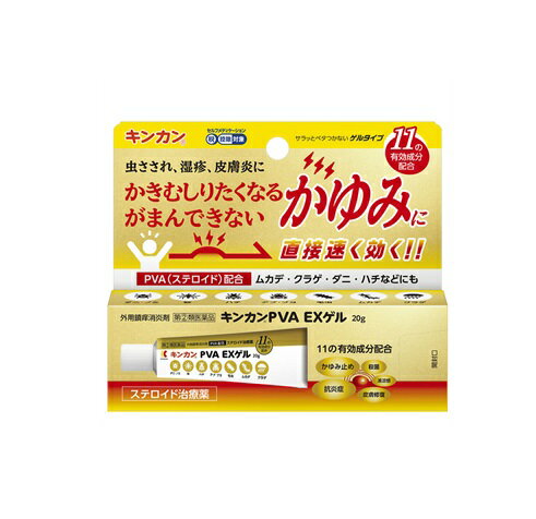 (2)ʡۡ30ĥåȡ ⴧƲ 󥫥PVA EX(20g)30ĥåȡʡۡoriۡt-10
