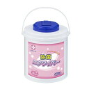 【5個セット】 白十字 エタワイパー(ケース付) 250枚入 ×5個セット 【正規品】【mor】【ご注文後発送までに2週間前後頂戴する場合がございます】(4)
