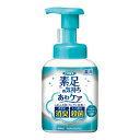 【10個セット】 フマキラー 薬用 素足の気持ち あわケア(250ml)×10個セット【正規品】