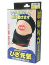 【20個セット】 ひざ元気 ブラック 大きめサイズ テルコーポレーション×20個セット【正規品】