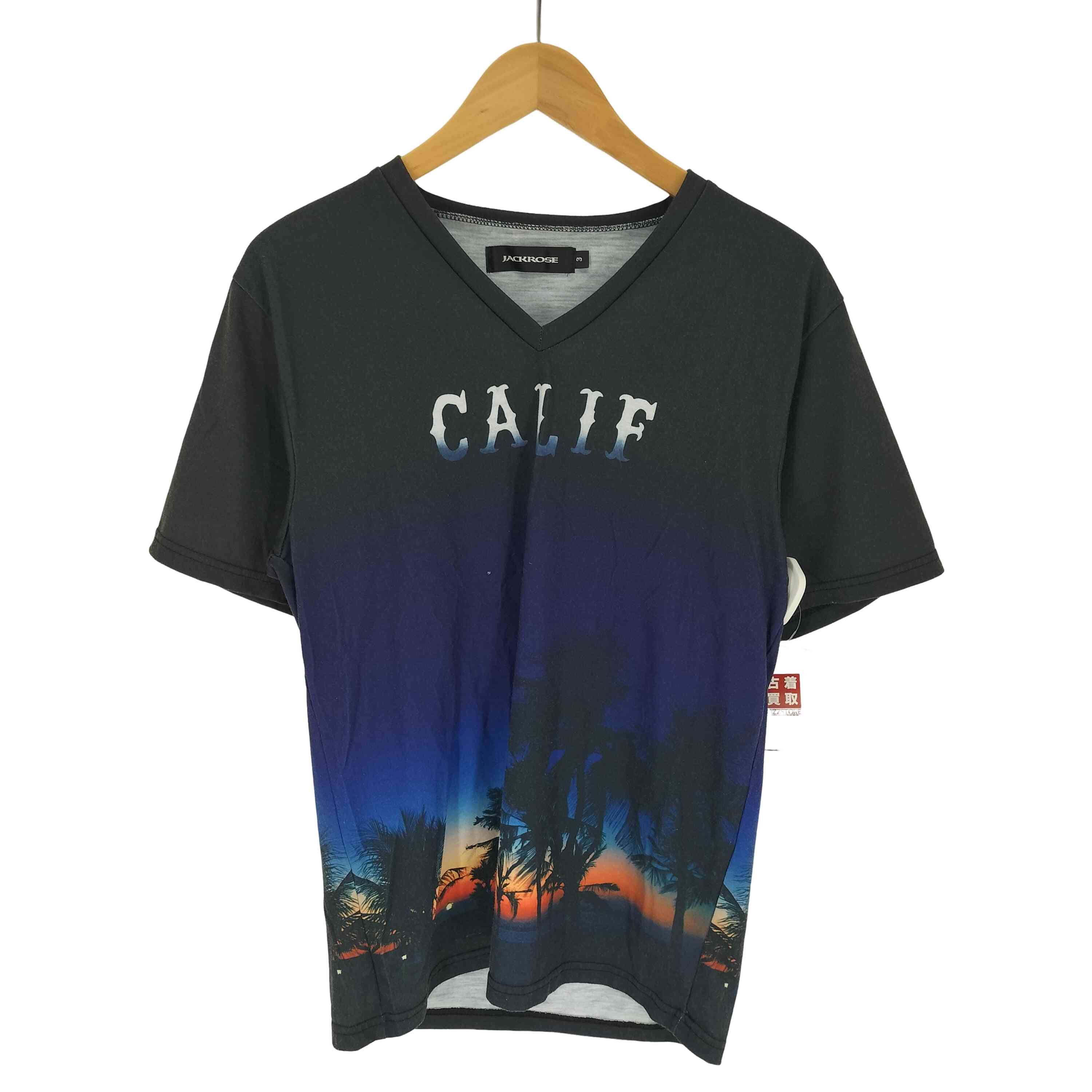 šۥå JACKROSE CALIF 䥷 ϥ磻 ǥ S/S Vͥå T  JPN3
