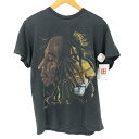 【中古】ザイオン ZION コピーライト2010 フロントプリント S/S Tシャツ メンズ import:M