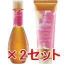 ≪店内商品☆ P2倍〜20倍! 4/30 23:59まで≫【送料無料】 デミコスメティックス / ヘアシーズンズ アロマシロップス シャンプー アイランドフラワー 250ml & ヘアトリートメント アイランドフラワー 240g 2セット