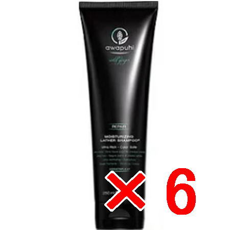 ☆【送料無料】 ポールミッチェル/AWAPUHI WILD GINGER /AWG モイスチャライジング ラザーシャンプーJ250mL 【6個】 [ 国内正規品...