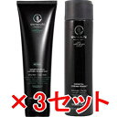 ☆【送料無料】 ポールミッチェル/AWAPUHI WILD GINGER /AWG モイスチャライジング ラザーシャンプーJ250mL & ケラチンクリームリン...