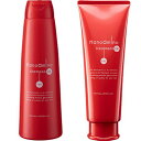 ☆【送料無料】ニューウェイジャパン / ナノアミノ シャンプー DR 250ml & トリートメント DR 250g セット