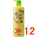 ☆【送料無料】サニープレイス ナノエッセンス コンデ 1000ml グリーンアップル 【12個】