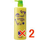 ☆【送料無料】サニープレイス ナノエッセンス コンデ 1000ml グリーンアップル 【2個】