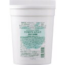 ☆【送料無料】 ナプラ napra / アクセスフリー パウダーブリーチ 〈脱色剤〉500g