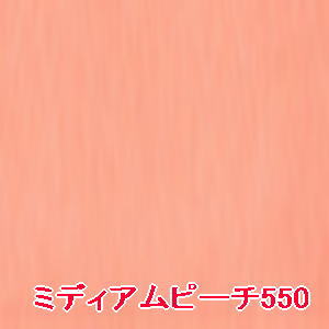 ̵ 奦  ե 顼  P ߥǥԡ 550 ۥե / shuuemura [  ]顼ᥤå