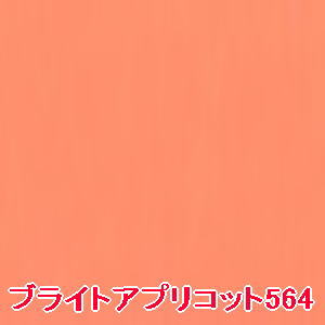 ＜全商品ポイント10倍！5月16日1:59ま