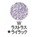 ☆【送料無料】 シュウウエムラ ／ 