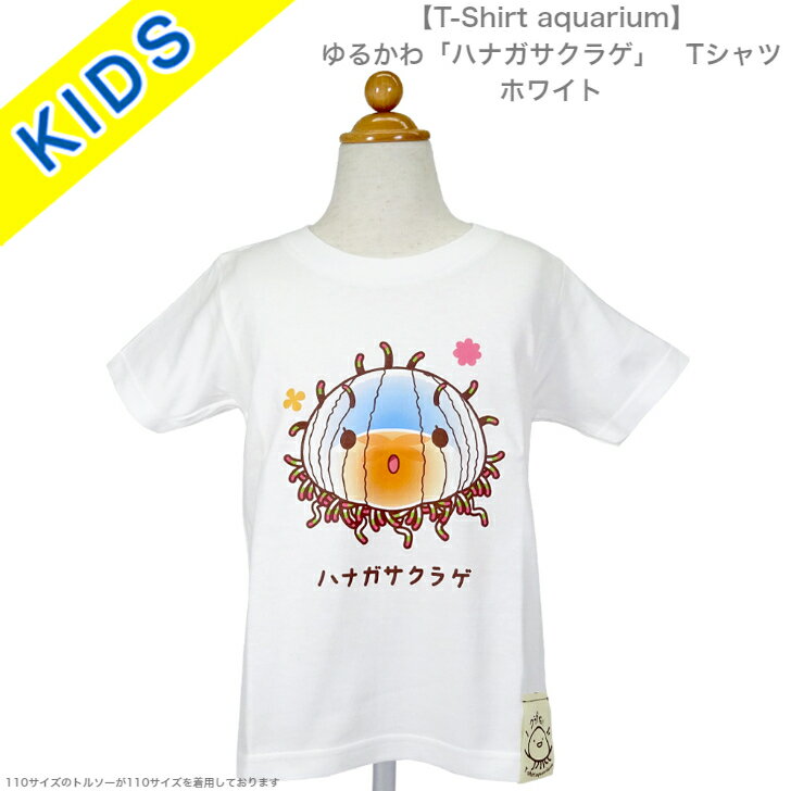 【T-Shirt aquarium】graviT　ゆるかわ「ハナガサクラゲ」　キッズTシャツ　ホワイト　110/130