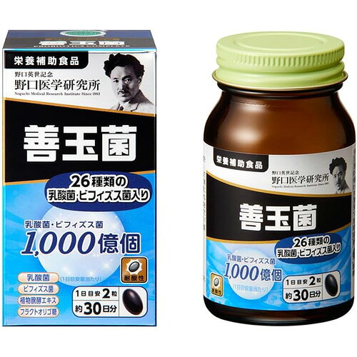 【栄養補助食品】野口医学研究所 善玉菌 ビフィズス菌 乳酸菌 善玉菌 60粒 約30日分