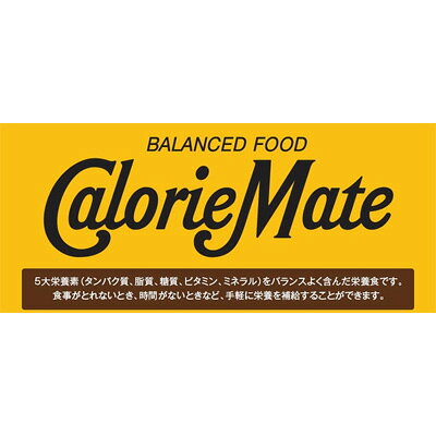 大塚製薬 カロリーメイトブロック チーズ味 4本 81g栄養補助食品 保存食 bbdrag-10002699 ブンブンドラッグ サンプル画像2