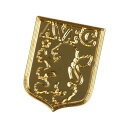 アストンビラ チームオフィシャル Gold Plated ピンバッジ(正規品/メール便可)