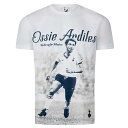 トッテナム　チームオフィシャル　83850　ARDILES PHOTOGRAPHIC　Tシャツ　半袖(正規品/メール便可)